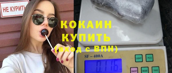mix Богородицк