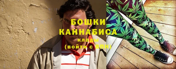 mix Богородицк