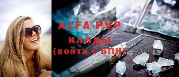 прущие крисы Бородино