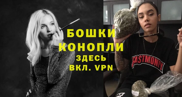 молекула духа Богородск