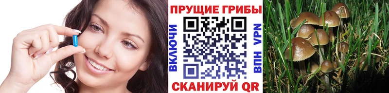 Псилоцибиновые грибы Psilocybine cubensis  ссылка на мегу ТОР  Карпинск 